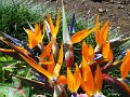 DSC09166