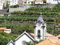 DSC09195