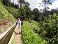 DSC09229
