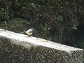 DSC09231