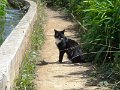 DSC09244