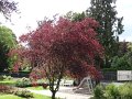 DSC02429