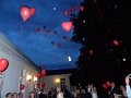 DSC02474