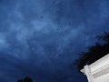DSC02476