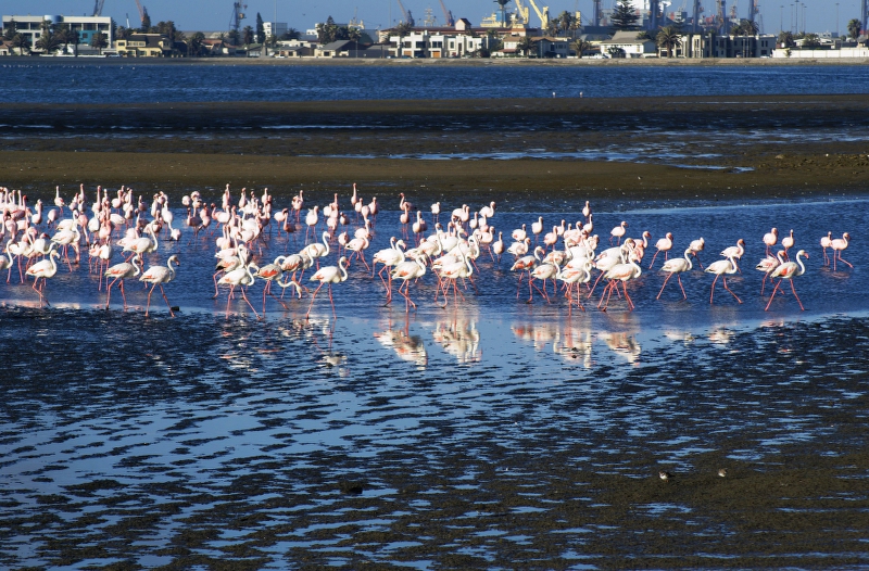 DSC01392.JPG