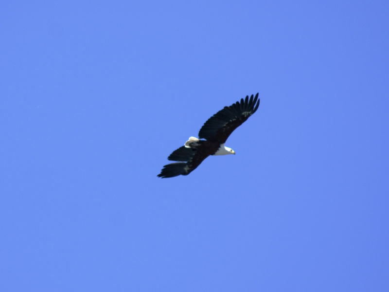 DSC04542.JPG