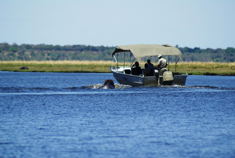 DSC04696.JPG - Hippo jagt Boot