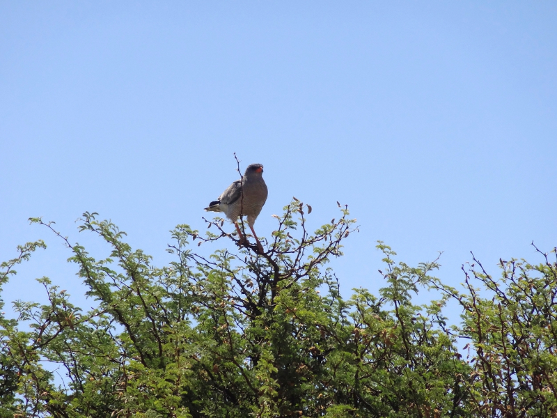 DSC09384.JPG