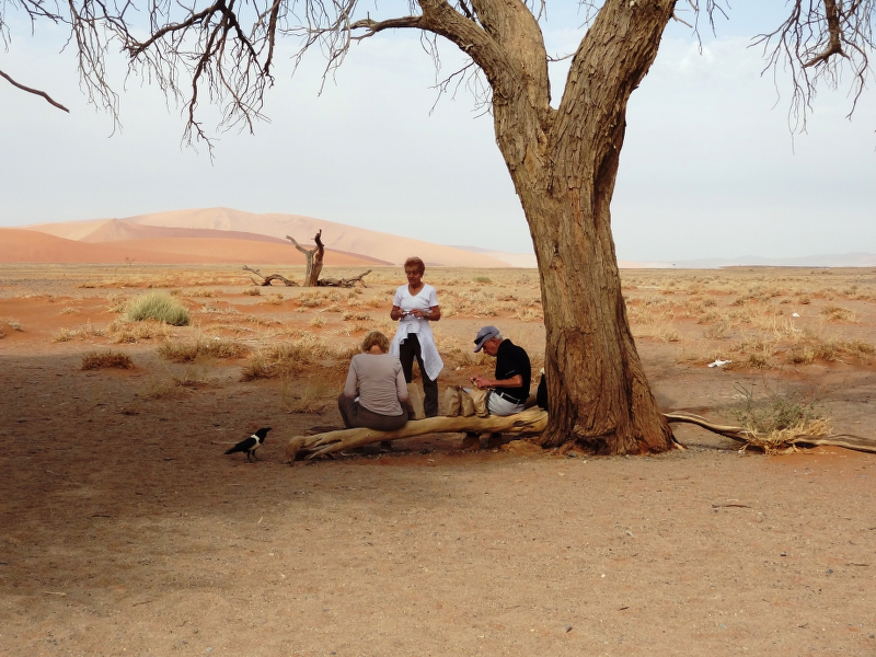 DSC09484.JPG - Fr�hst�ck an D�ne 45 Sossusvlei