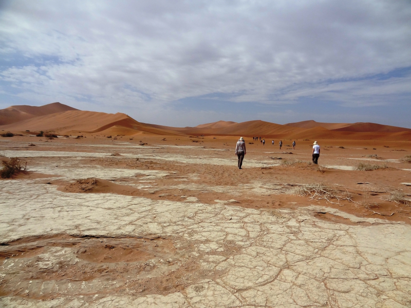 DSC09490.JPG - Auf dem Weg zum Dead Vlei