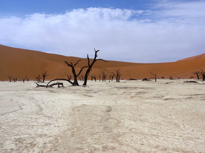 DSC09492.JPG - Dead Vlei