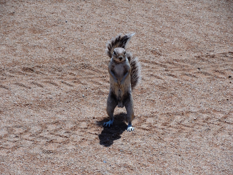 DSC09544.JPG