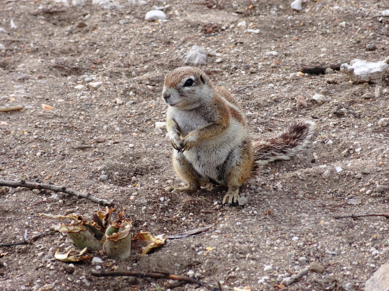 DSC09892.JPG