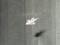 DSC00117