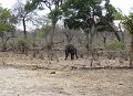 DSC00128