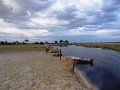 DSC00137