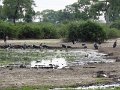 DSC00176