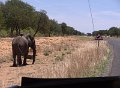 DSC00184