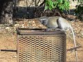 DSC00199