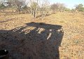 DSC00200