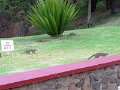 DSC00251