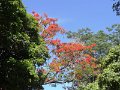 DSC00290