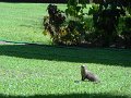 DSC00296