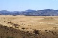DSC01195