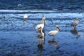 DSC01298