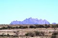 DSC01420