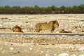 DSC01851