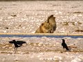 DSC01856