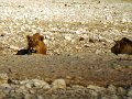 DSC01870