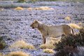 DSC01910