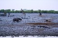 DSC01963