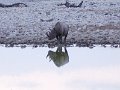 DSC01969