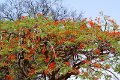 DSC02929