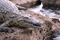 DSC03101