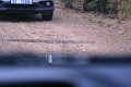 DSC03333