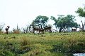 DSC03864