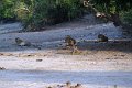 DSC04459