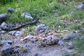 DSC04911