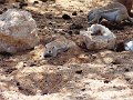 DSC09550