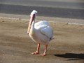 DSC09568