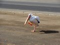 DSC09569