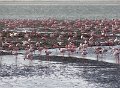 DSC09578