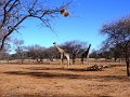 DSC09647