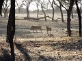 DSC09654