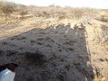 DSC09750