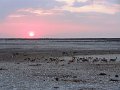 DSC09775